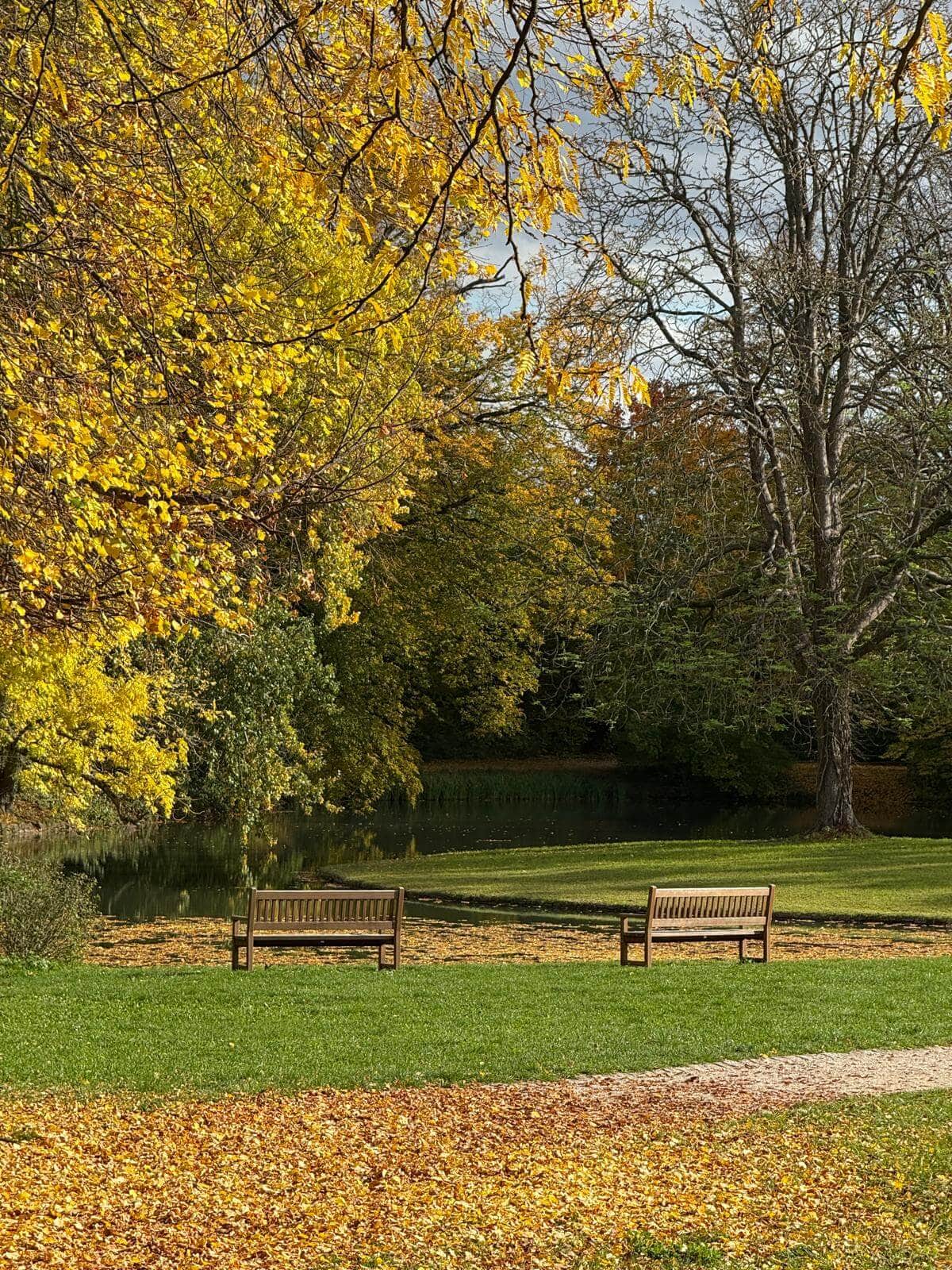 Park landscape in Worms with benches beside water, autumn coloured trees and a calm atmosphere.