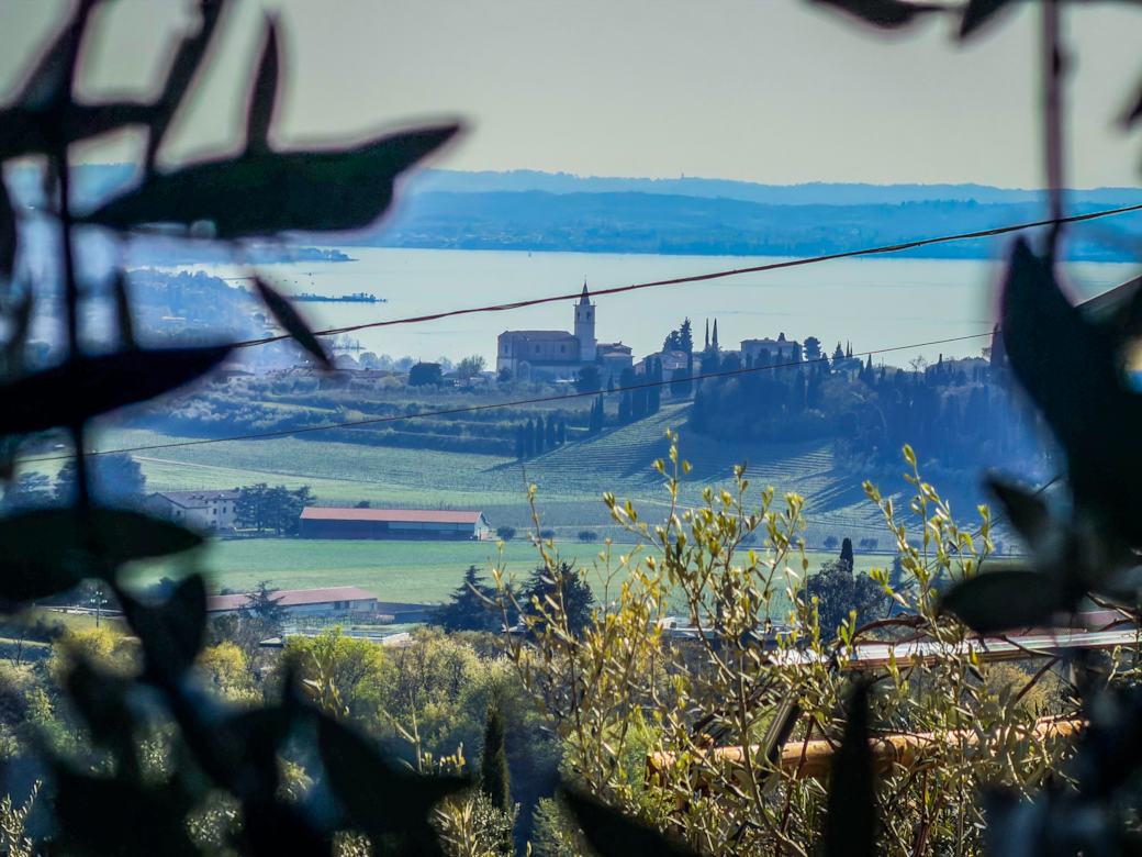 Uno scorcio dal giardino privato del lago tra gli ulivi Uno scorcio dal giardino privato del lago tra gli ulivi