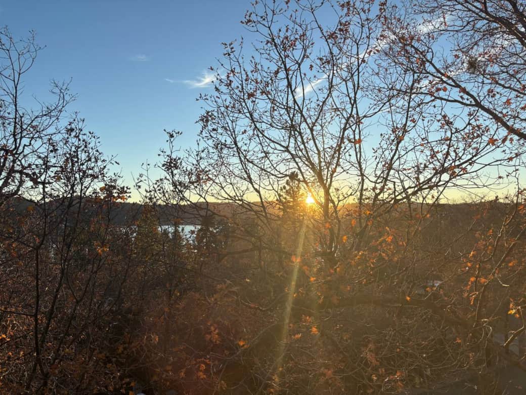 Views from the bedroom