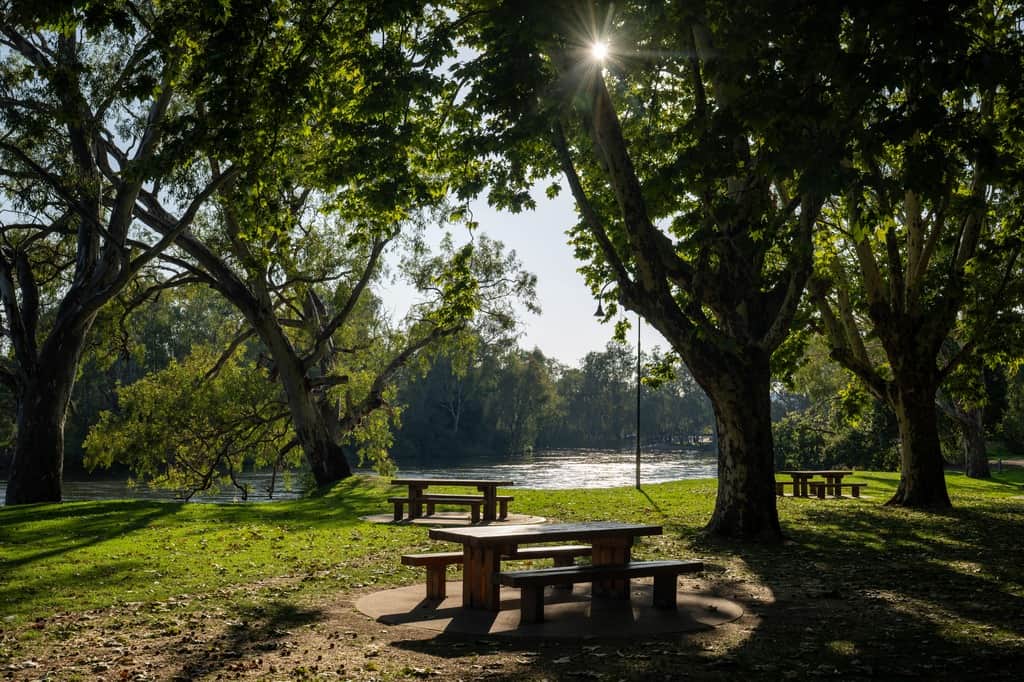The Murray River