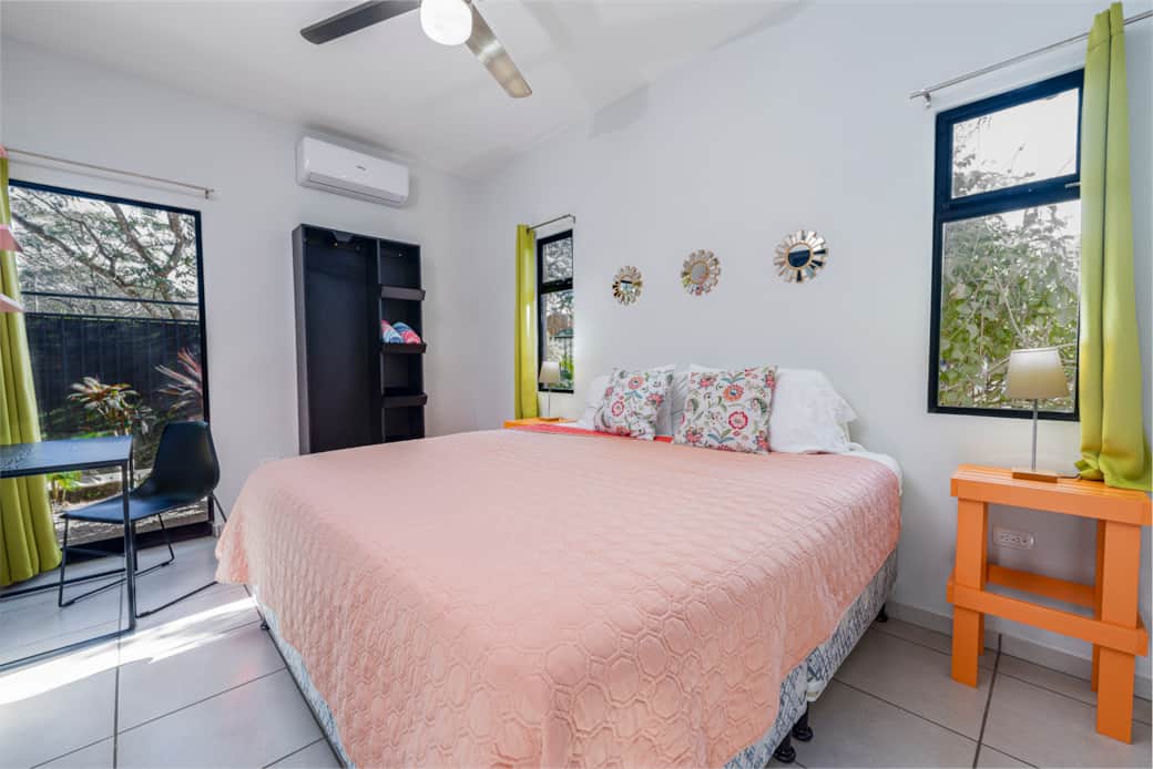 Coconut web -23 Coconut web -23