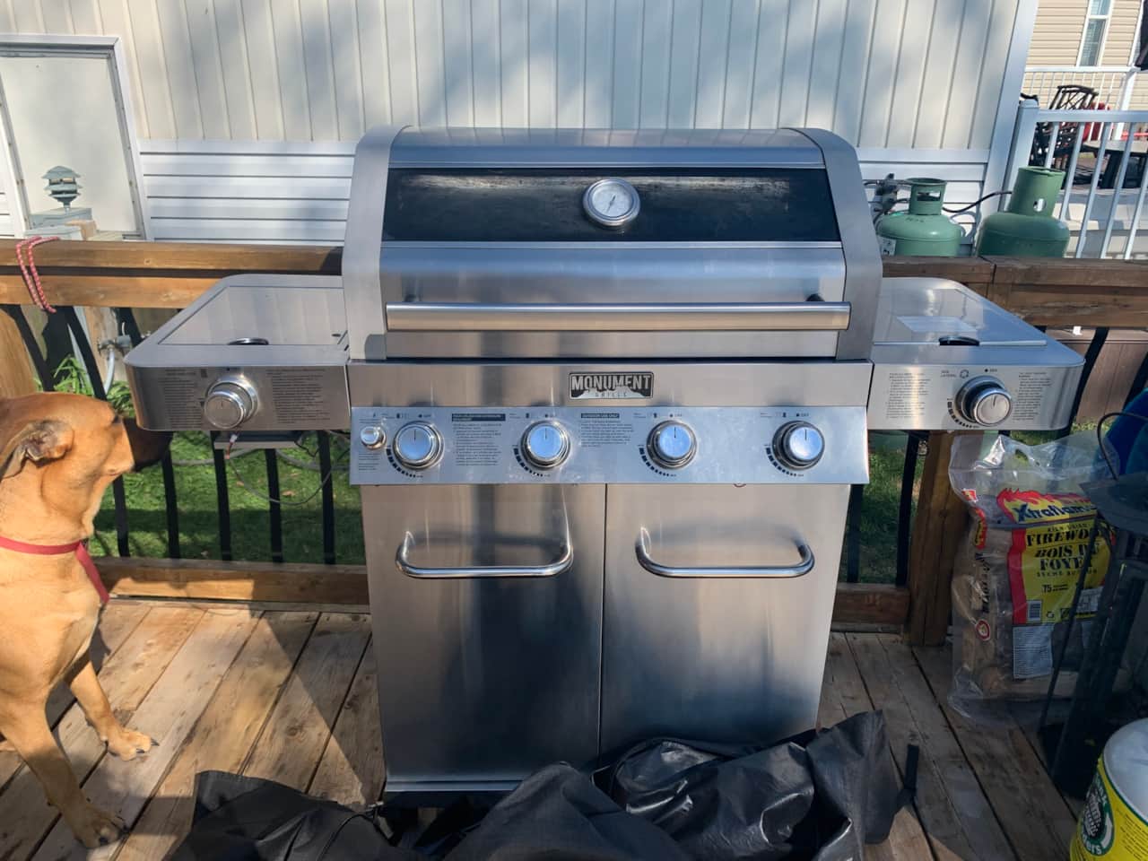 Bbq