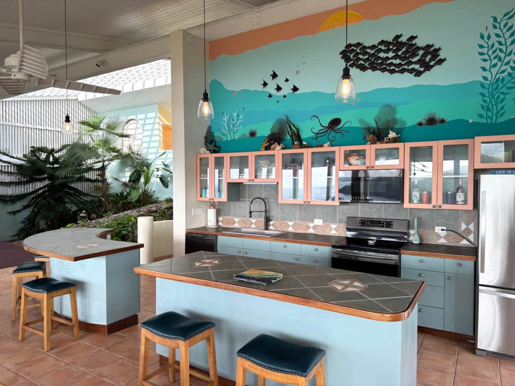 13 - Kitchen and atrium - 1