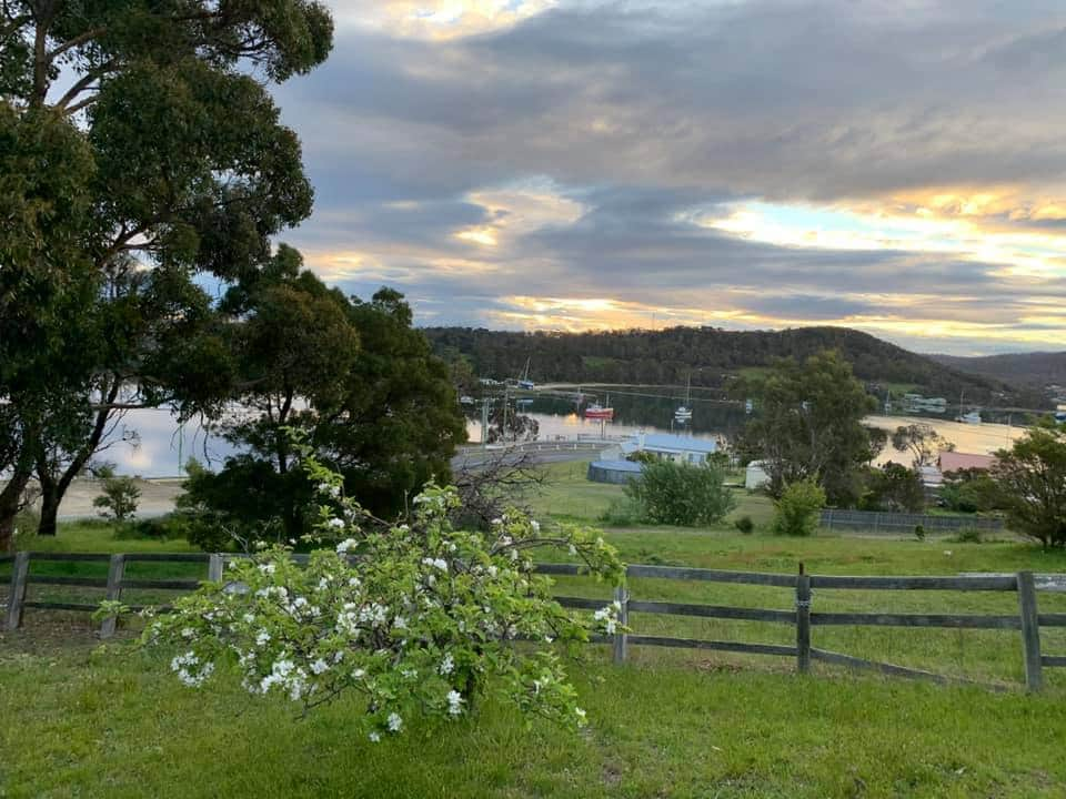 Blossoms on the Bay View of Parsons Bay from Cottage