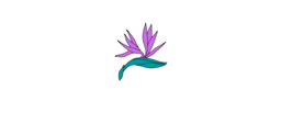 Casa Lima 