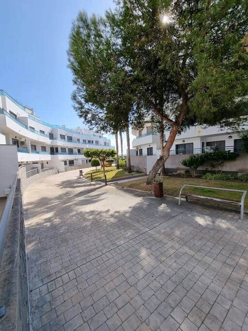 Calle de acceso al portal