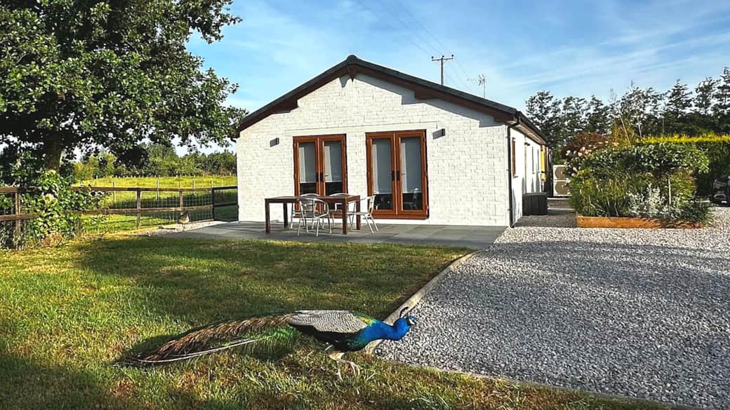 Peacock Barn Cover Photo