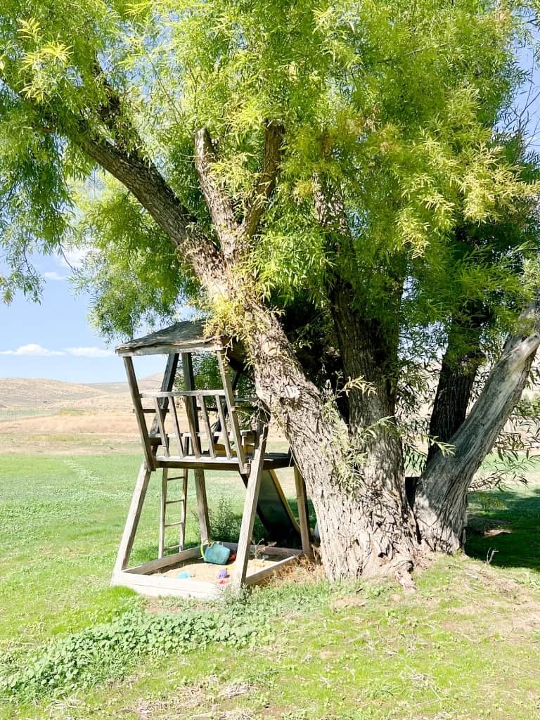 treehouse and room to play