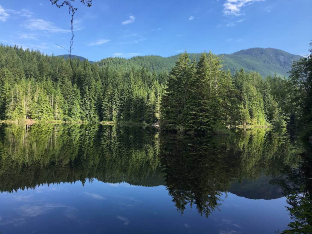 Take a walk in the woods around the scenic Rice Lake trail Take a walk in the woods around the scenic Rice Lake trail