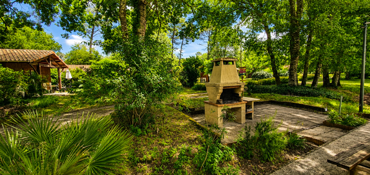 Jardin de campagne ensoleillé et verdoyant