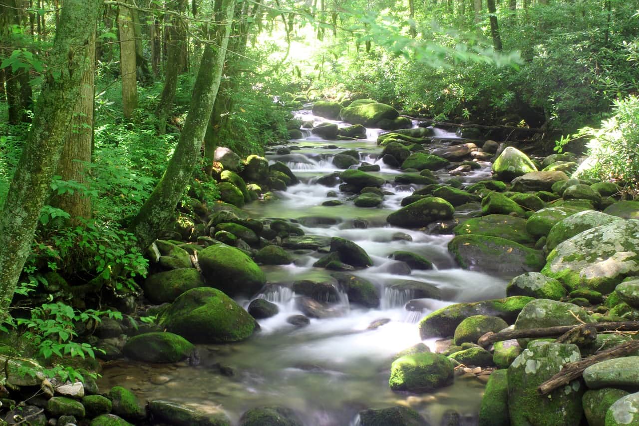tennessee-4894176_1280 river tn.jpg