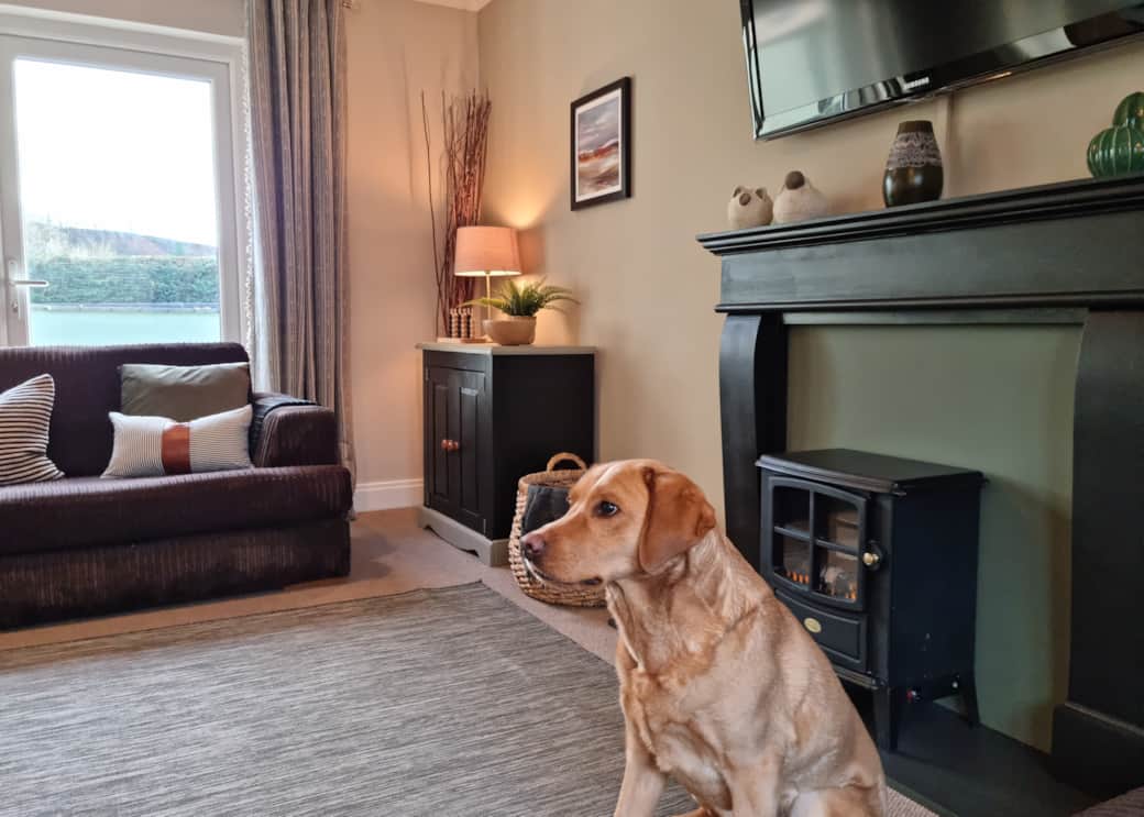 Arthur in the Dog Friendly Living Room | Willow Lodge Pembrokeshire