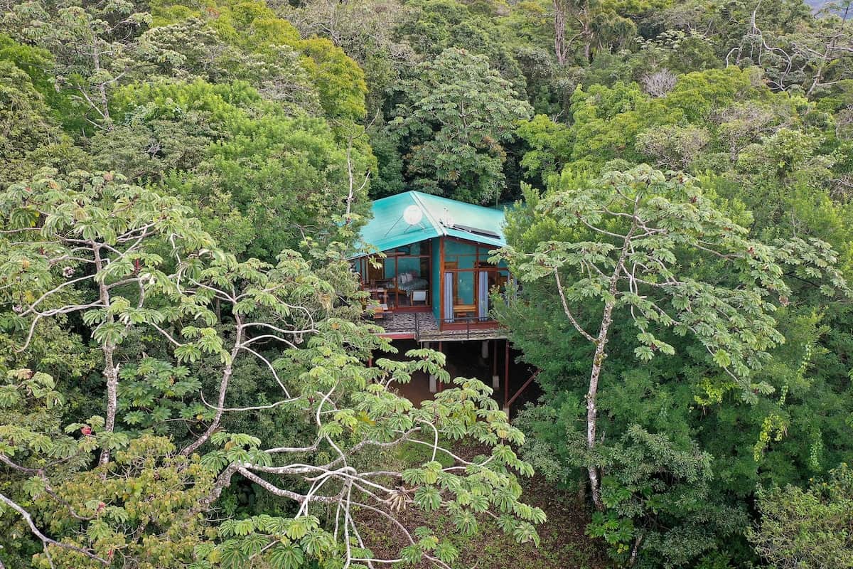 Nestled in the forest, this unique home offers privacy, fresh air, and a true connection with nature