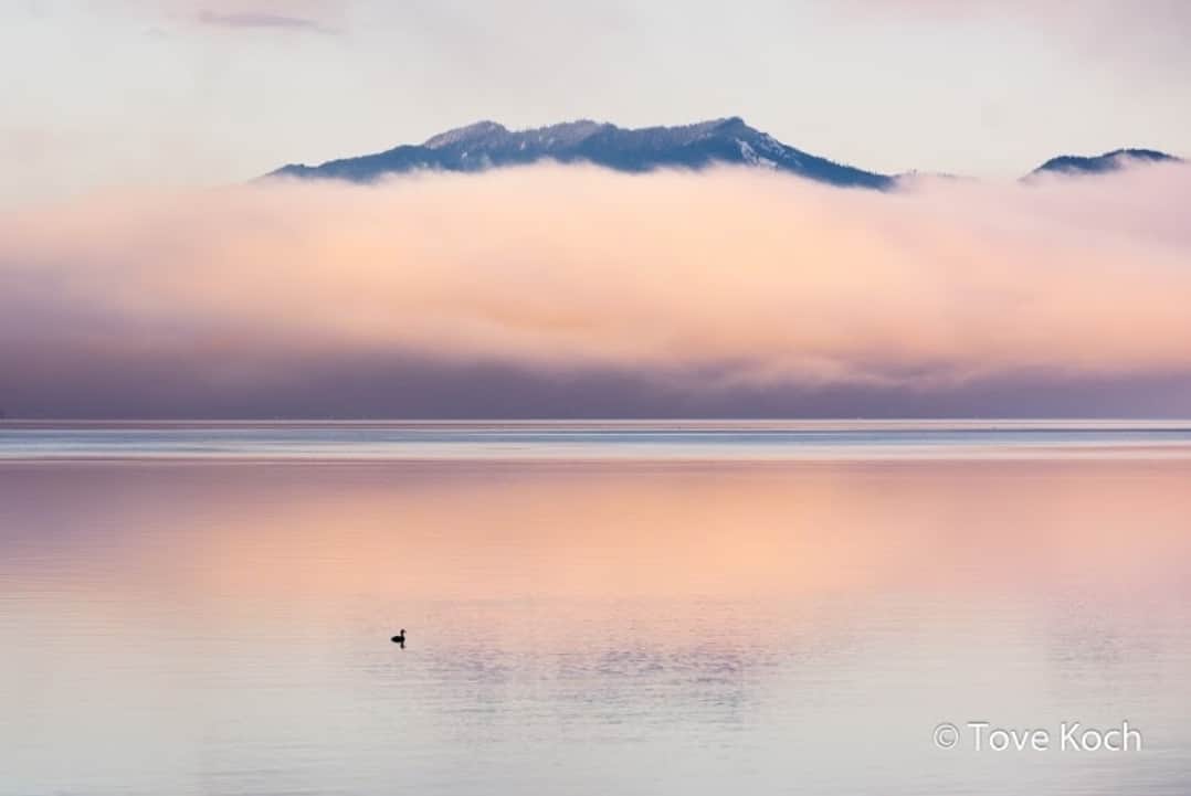 "Fjord's Serenity"