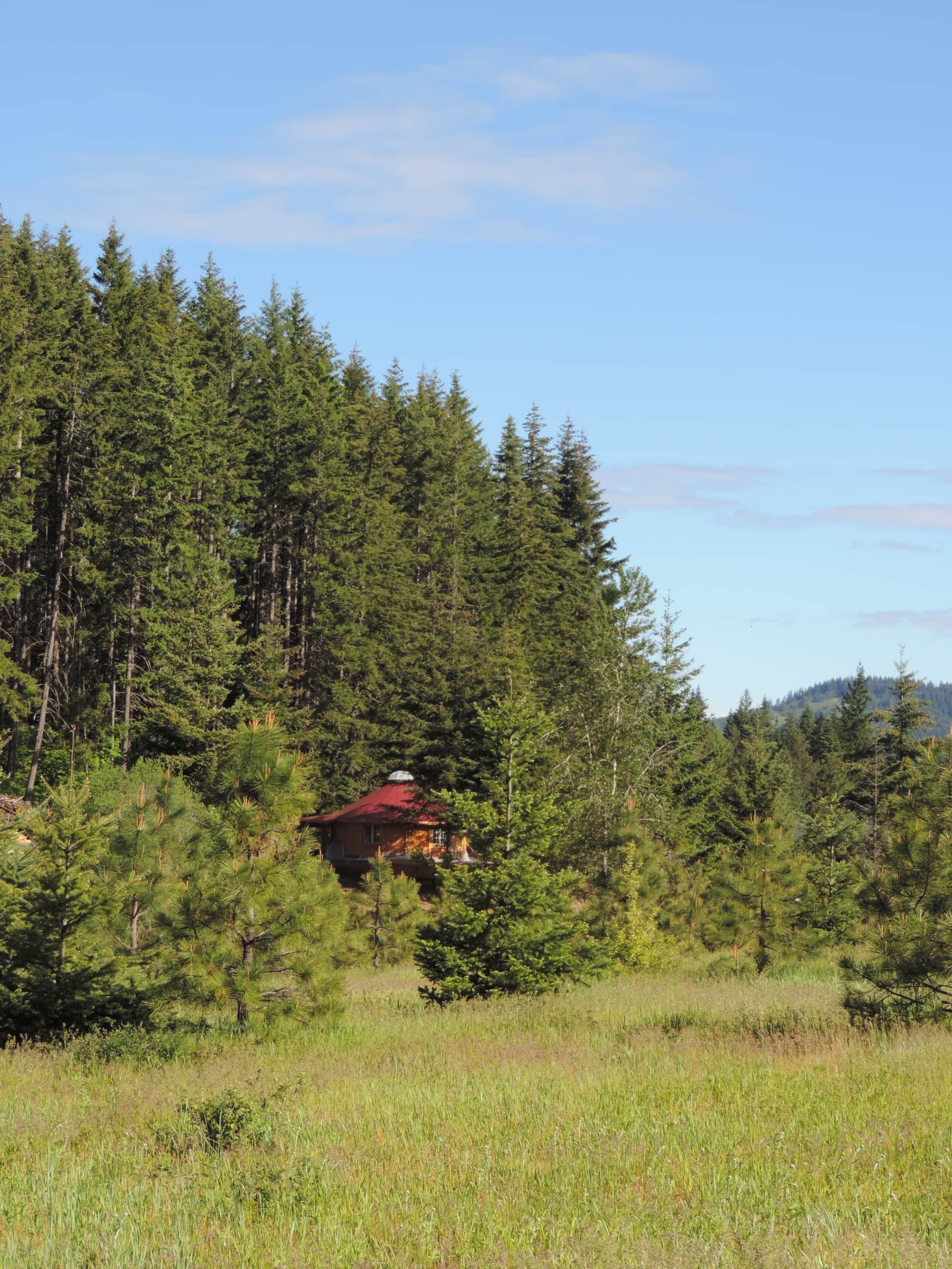 Forest cabin exterior view