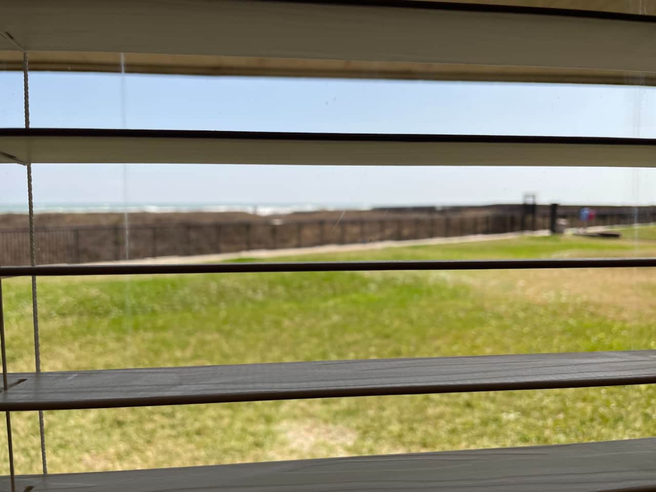 Patio view