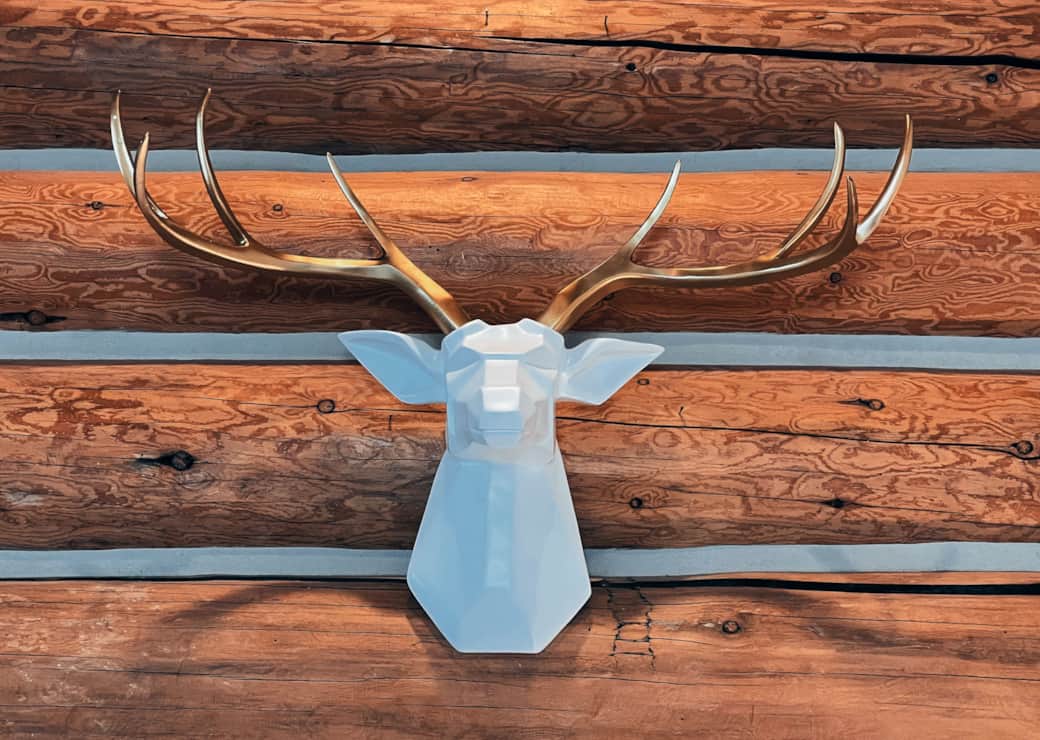 Modern Western Decor throughout