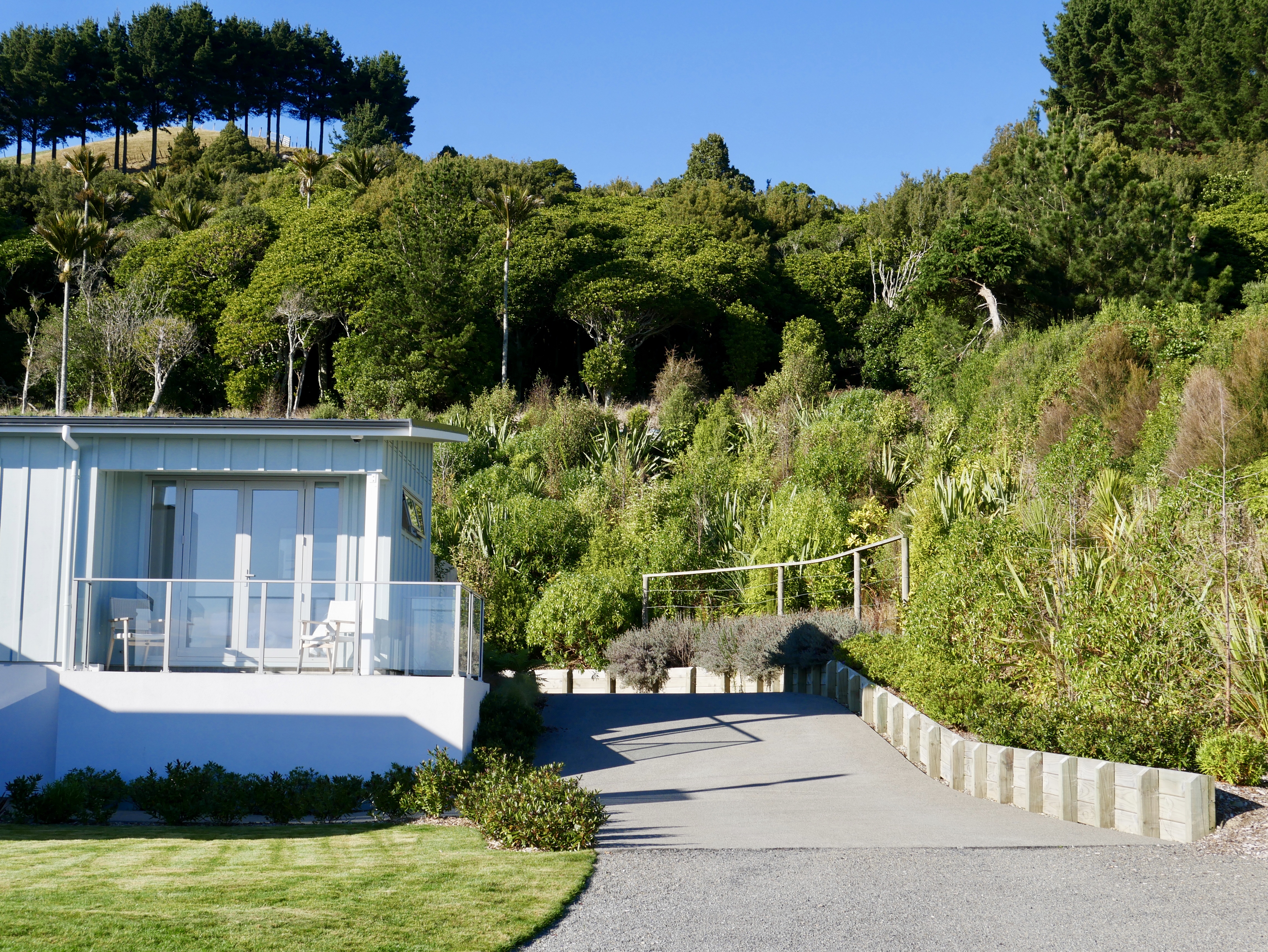 Guest wing with the Native trees that we have established 