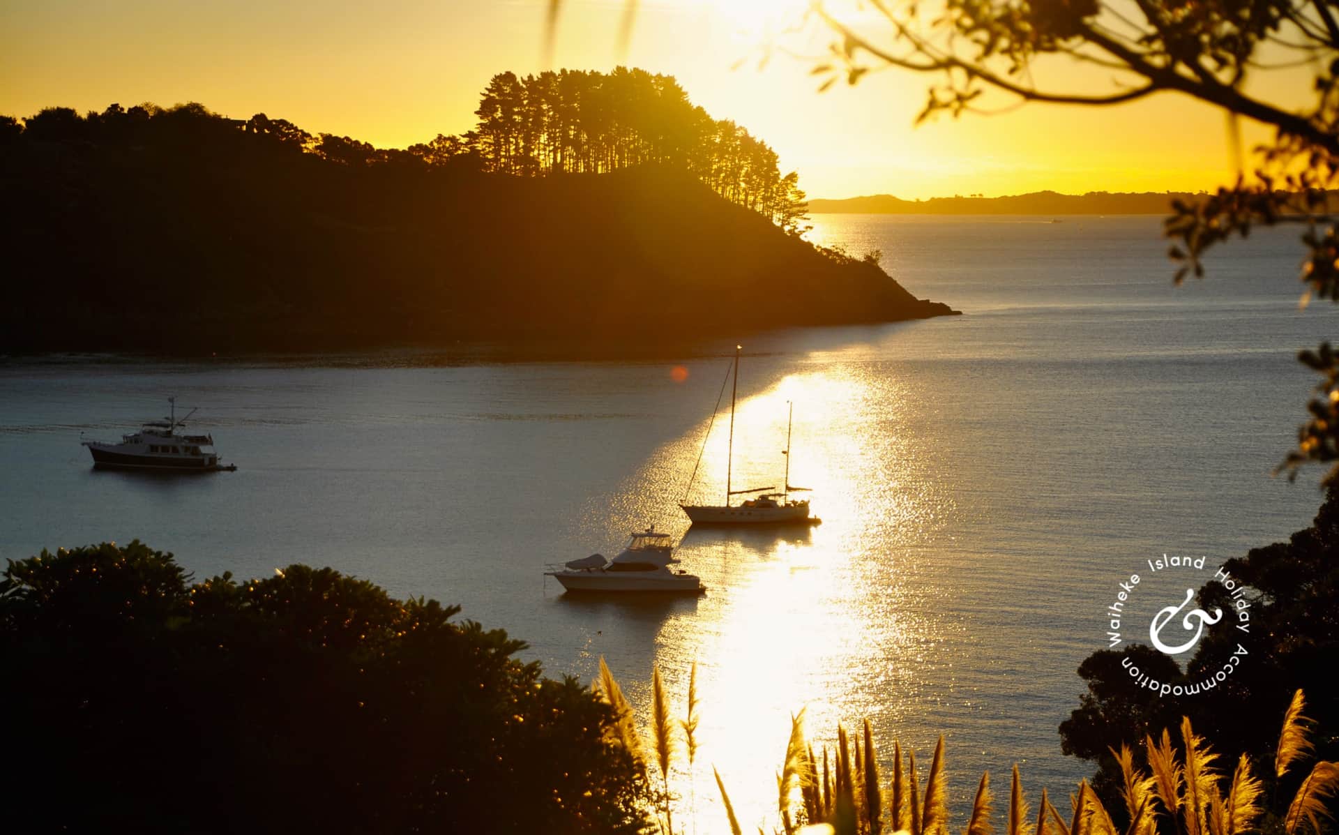 Waiheke Island Holiday Home Rentals Coast & Country