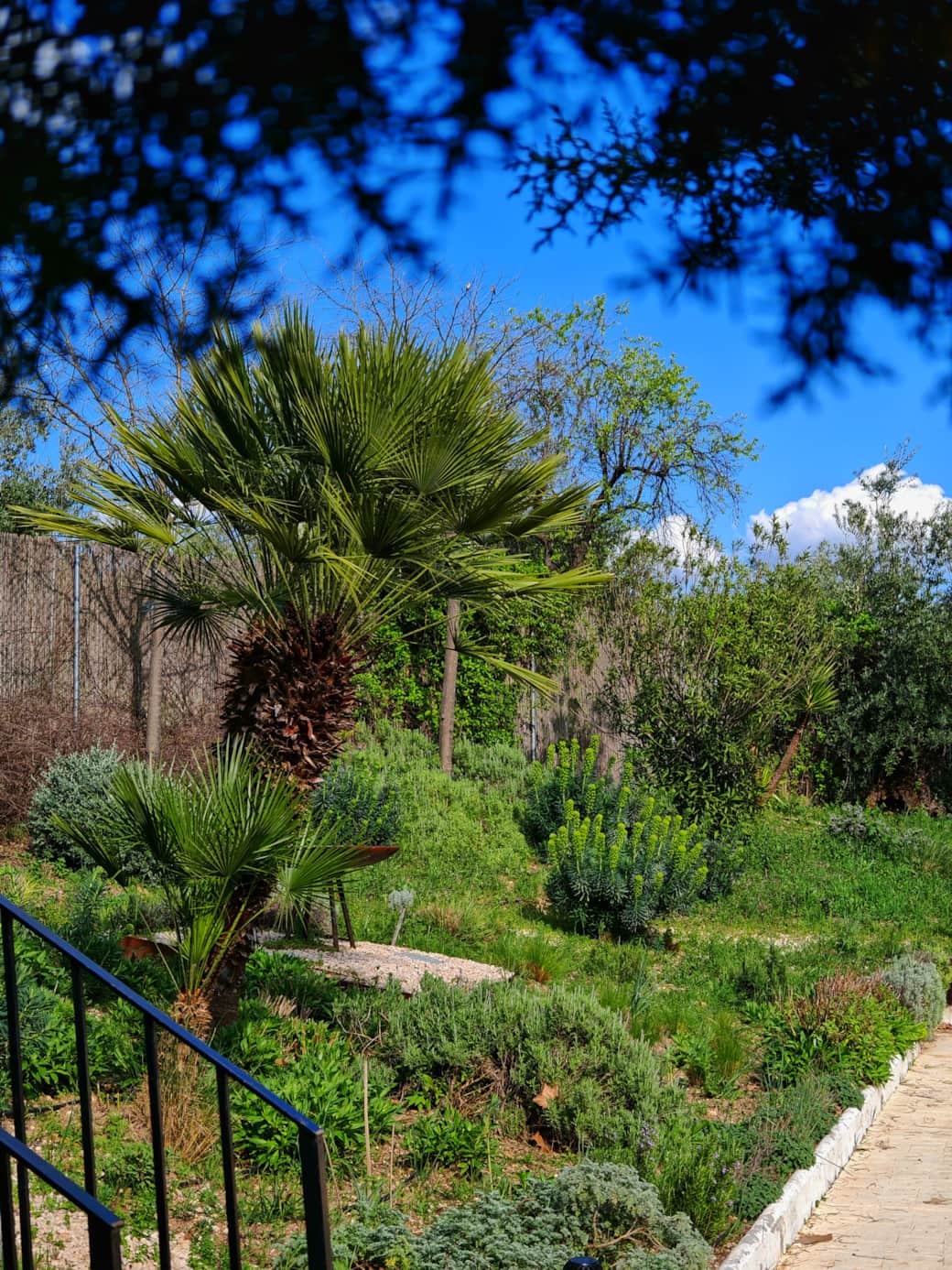 jardín 2