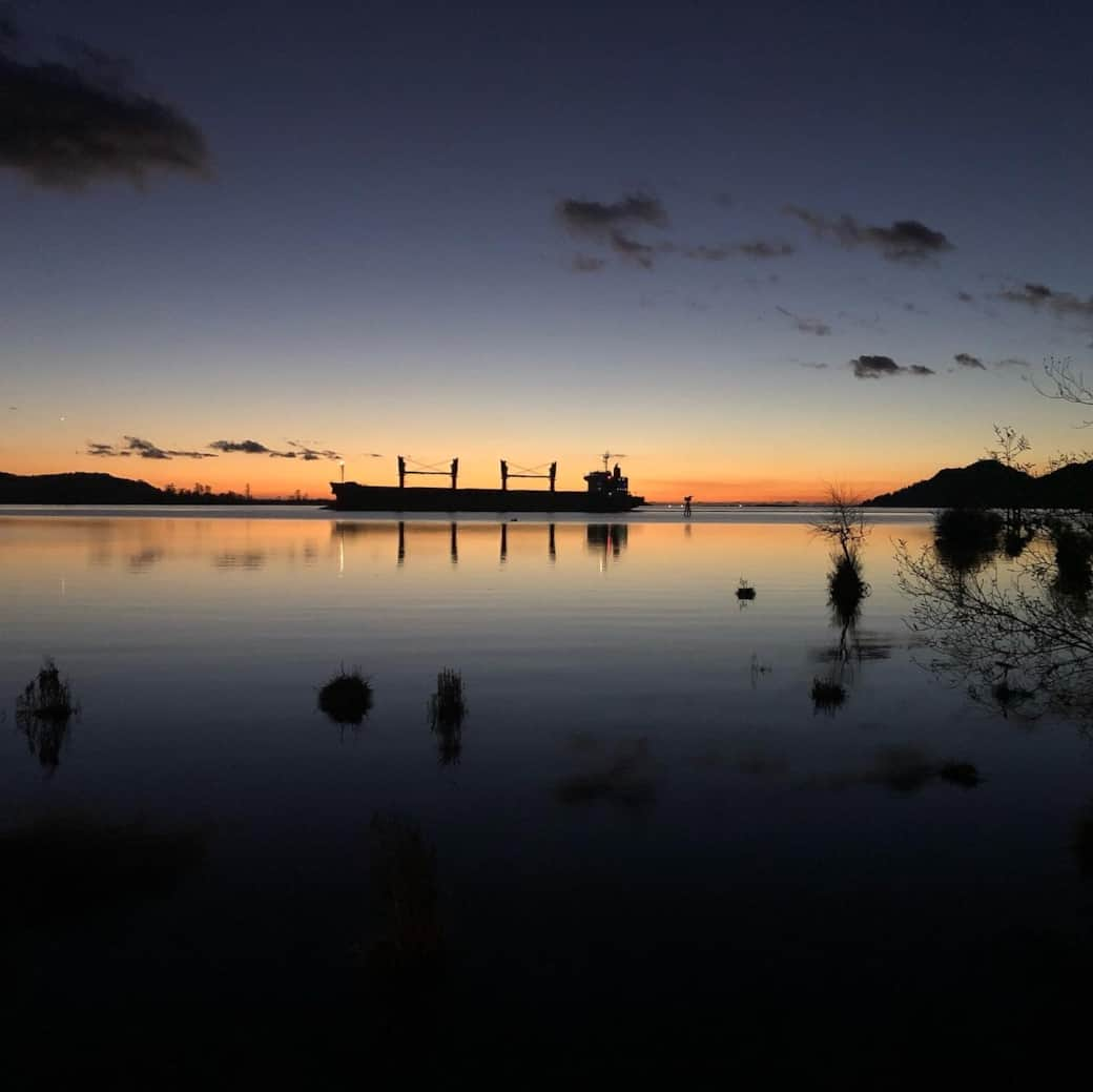 Ships pass near day and night