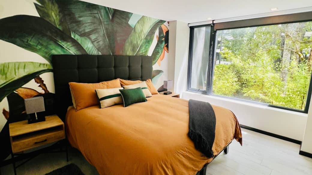 Vista despejada bosque