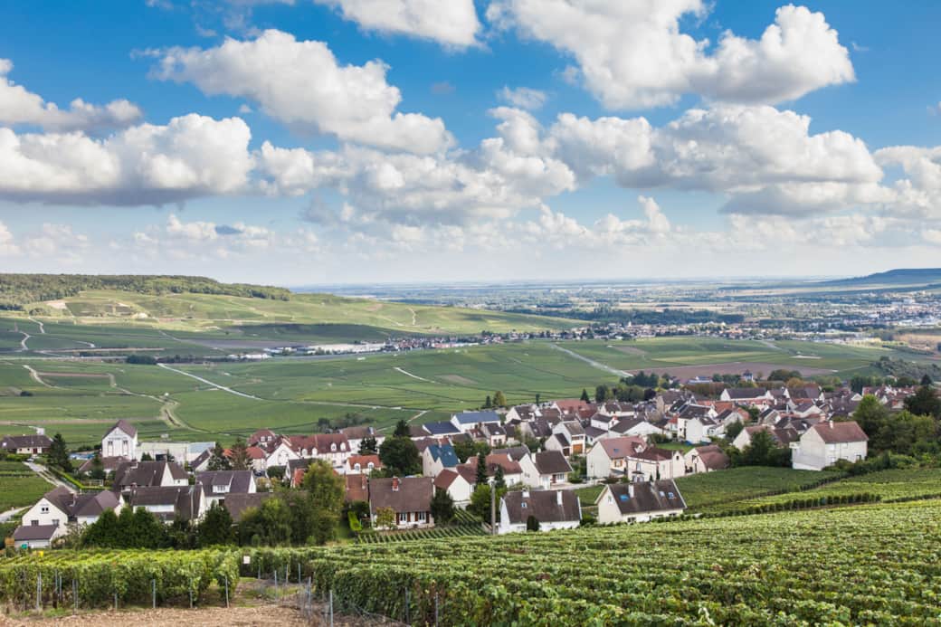 le vignoble de la vallée de la Marne vue d'Hautvillers