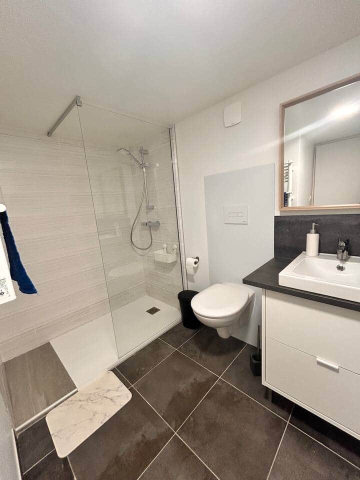 salle d'eau avec douche et mitigeur thermostatique tapis hygiénique en diatomite, toilettes suspendues, chauffe serviettes. salle d'eau avec douche et mitigeur thermostatique tapis hygiénique en diatomite, toilettes suspendues, chauffe serviettes.