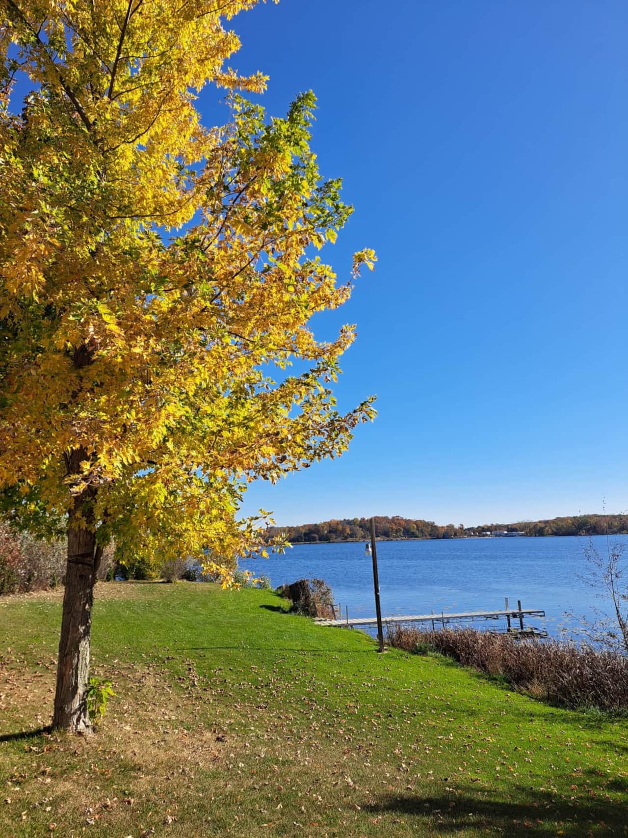 Amazing Fall Colors
