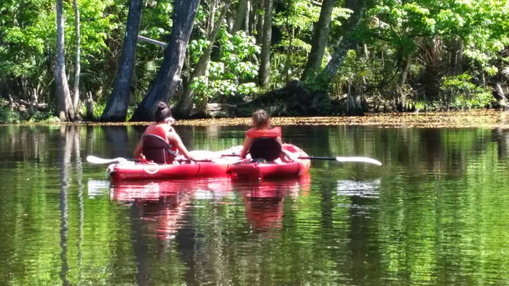 Peaceful waterways for kayaking or paddleboarding. Caution: This is a true wildlife area. Peaceful waterways for kayaking or paddleboarding. Caution: This is a true wildlife area.