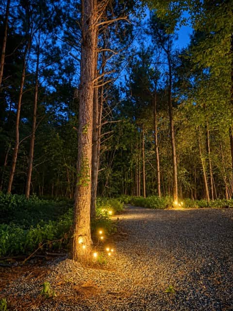 Cabin Grounds
