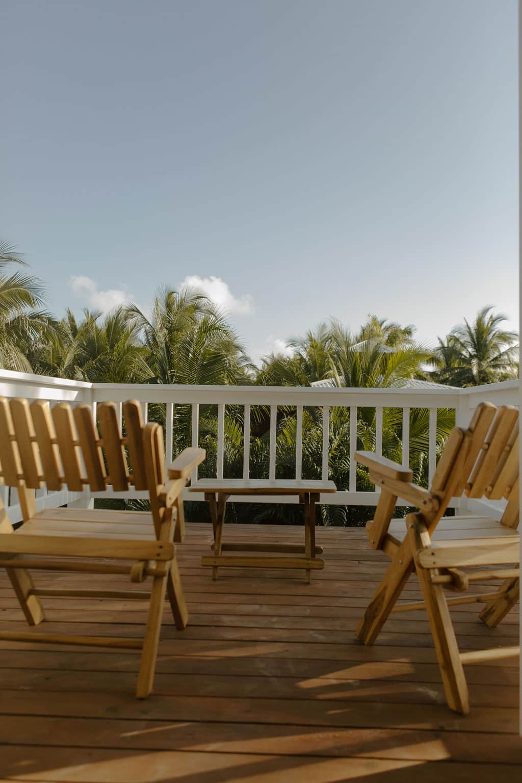Palm Trees Deck