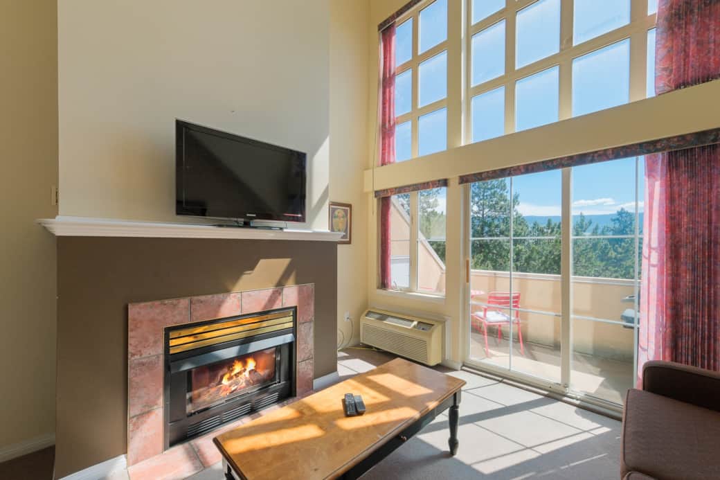 Unit 309 Fireplace
