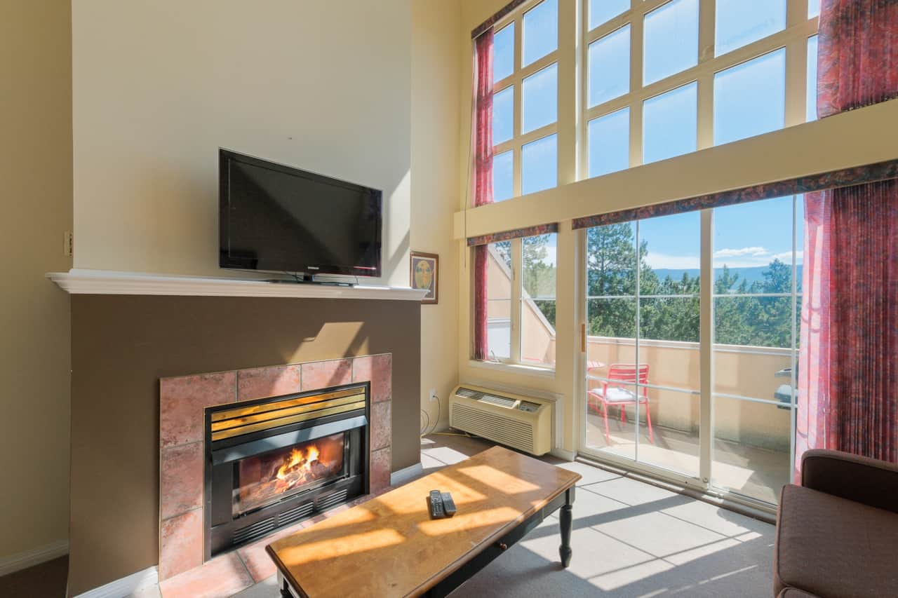 Unit 309 Fireplace