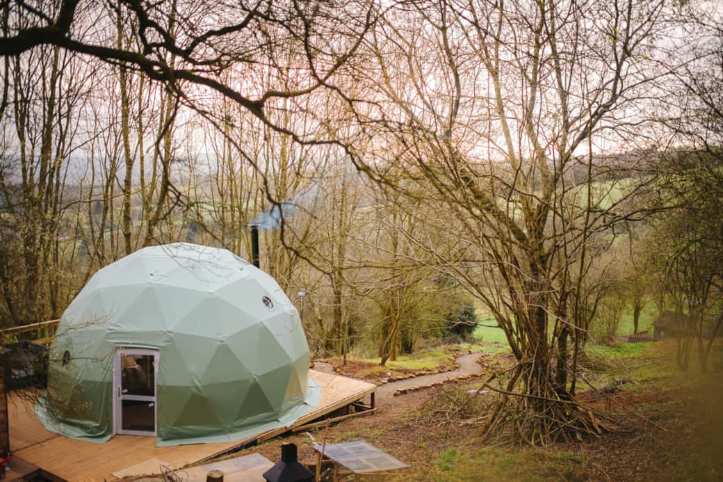 Tree Dome