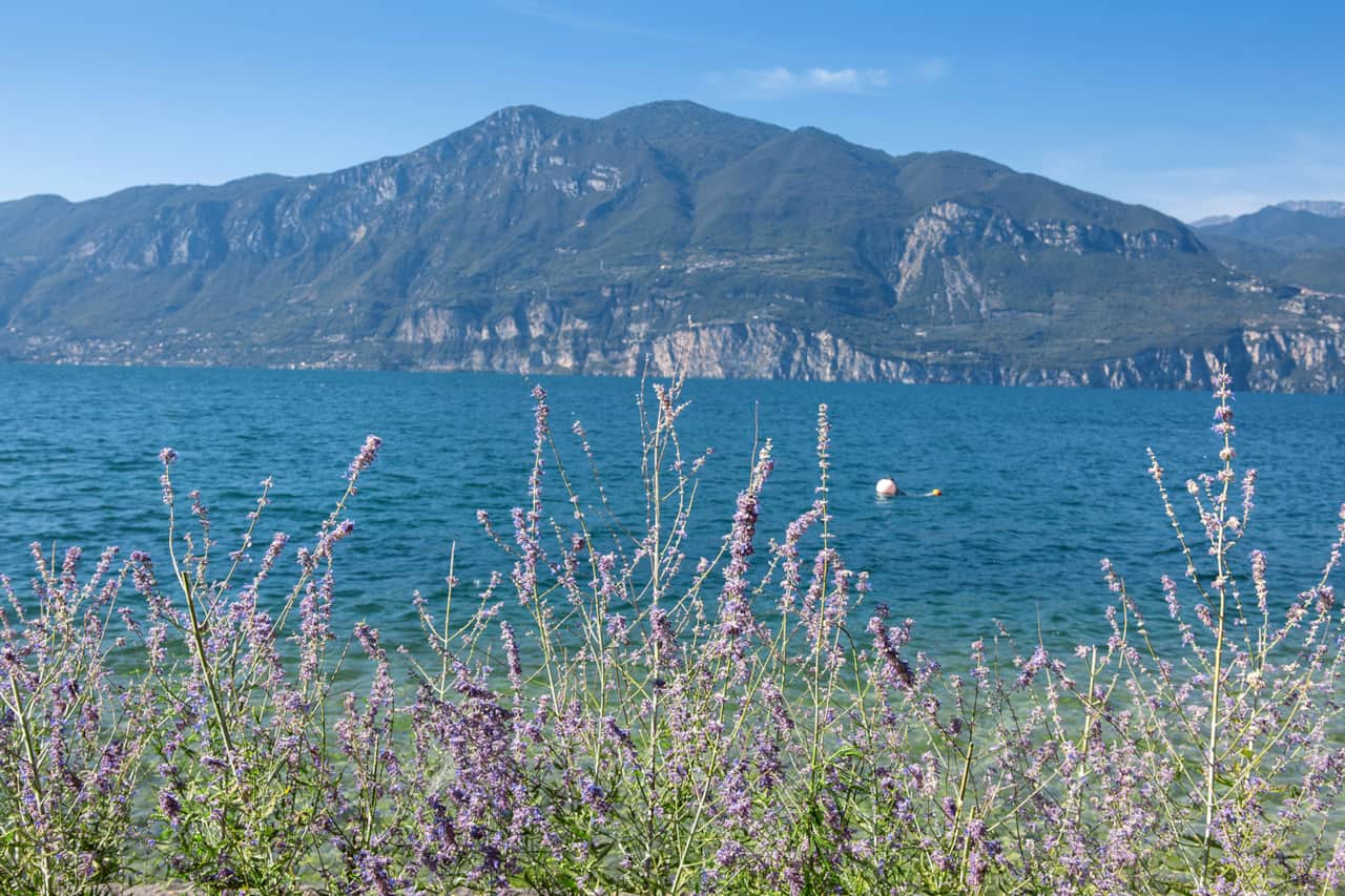 Vista dal giardino