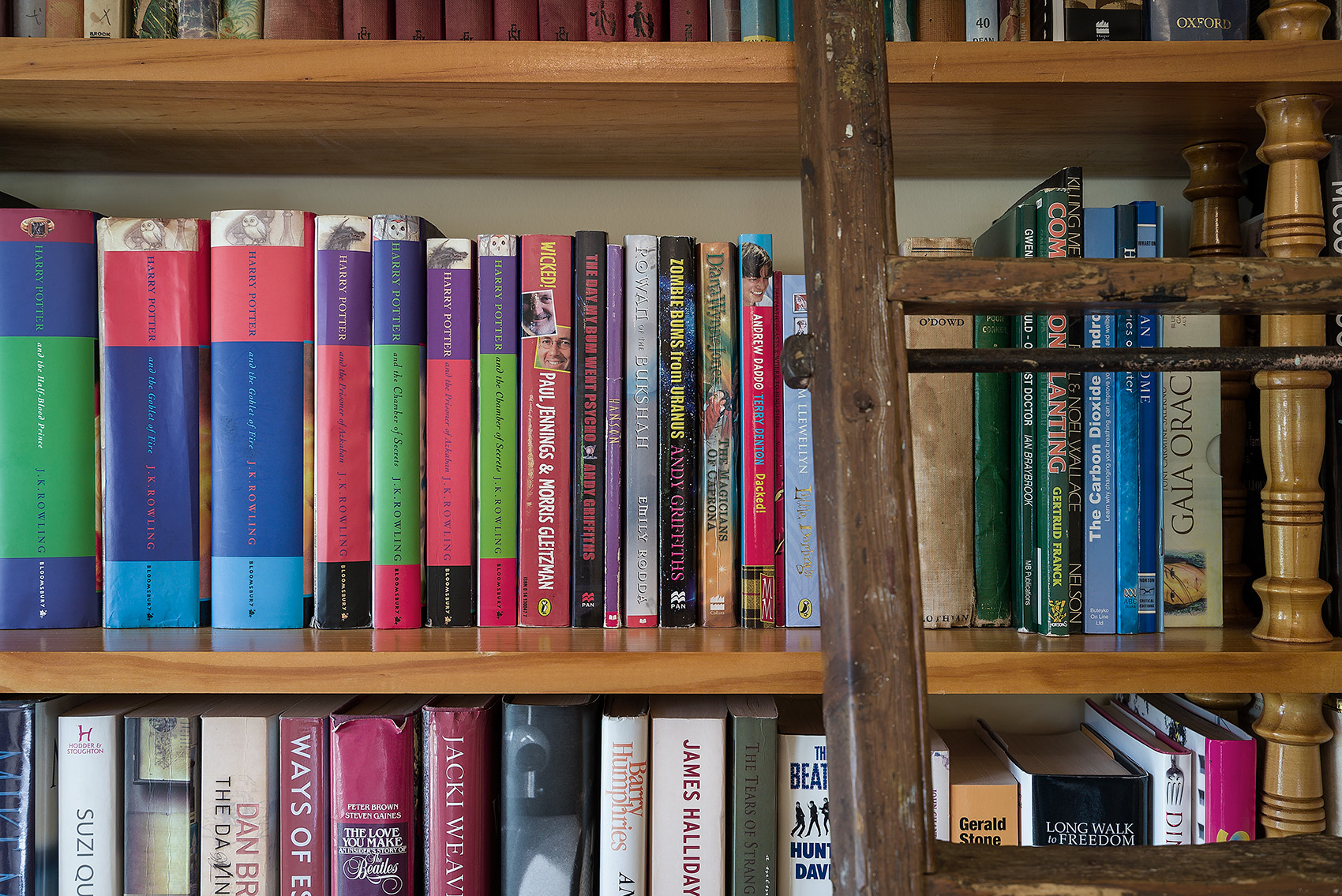 Plenty of Books to Read