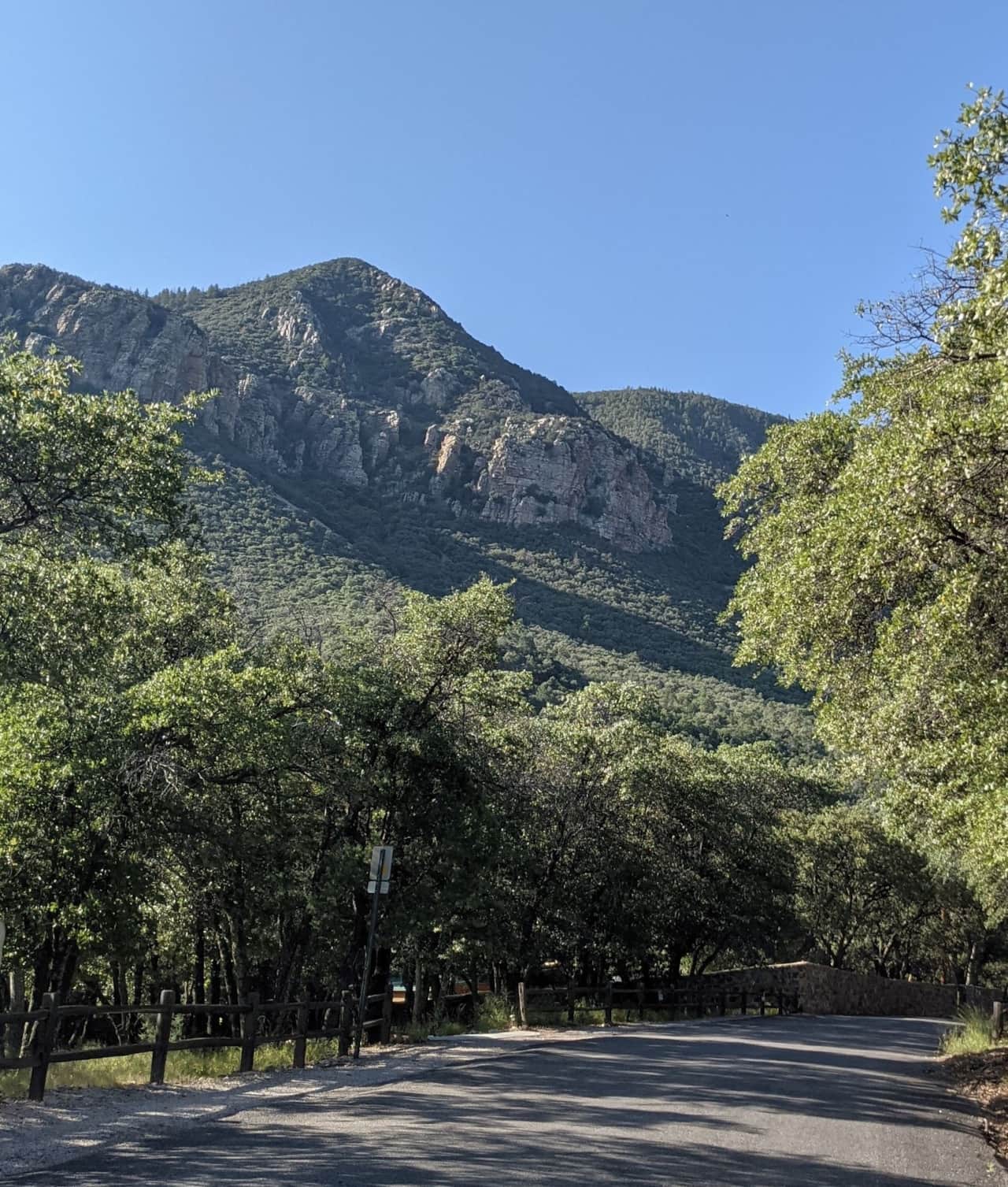 Driving up Ramsey Canyon road to Ramsey Canyon Cabins.