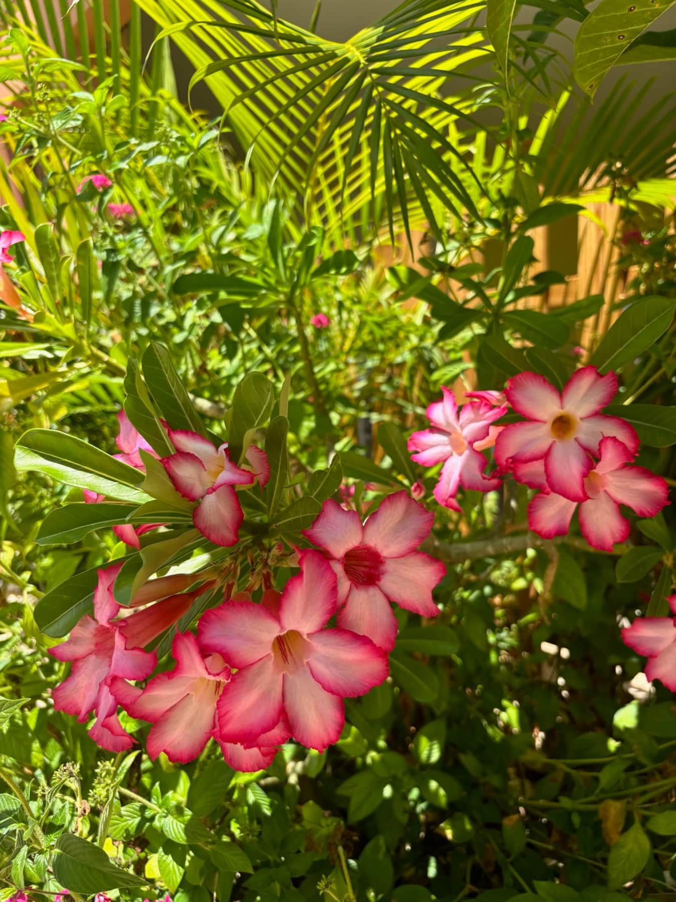 https://l.icdbcdn.com/oh/6071aecb-a774-42ca-8ad4-338ecacfb7a3.jpg?w=2080-55