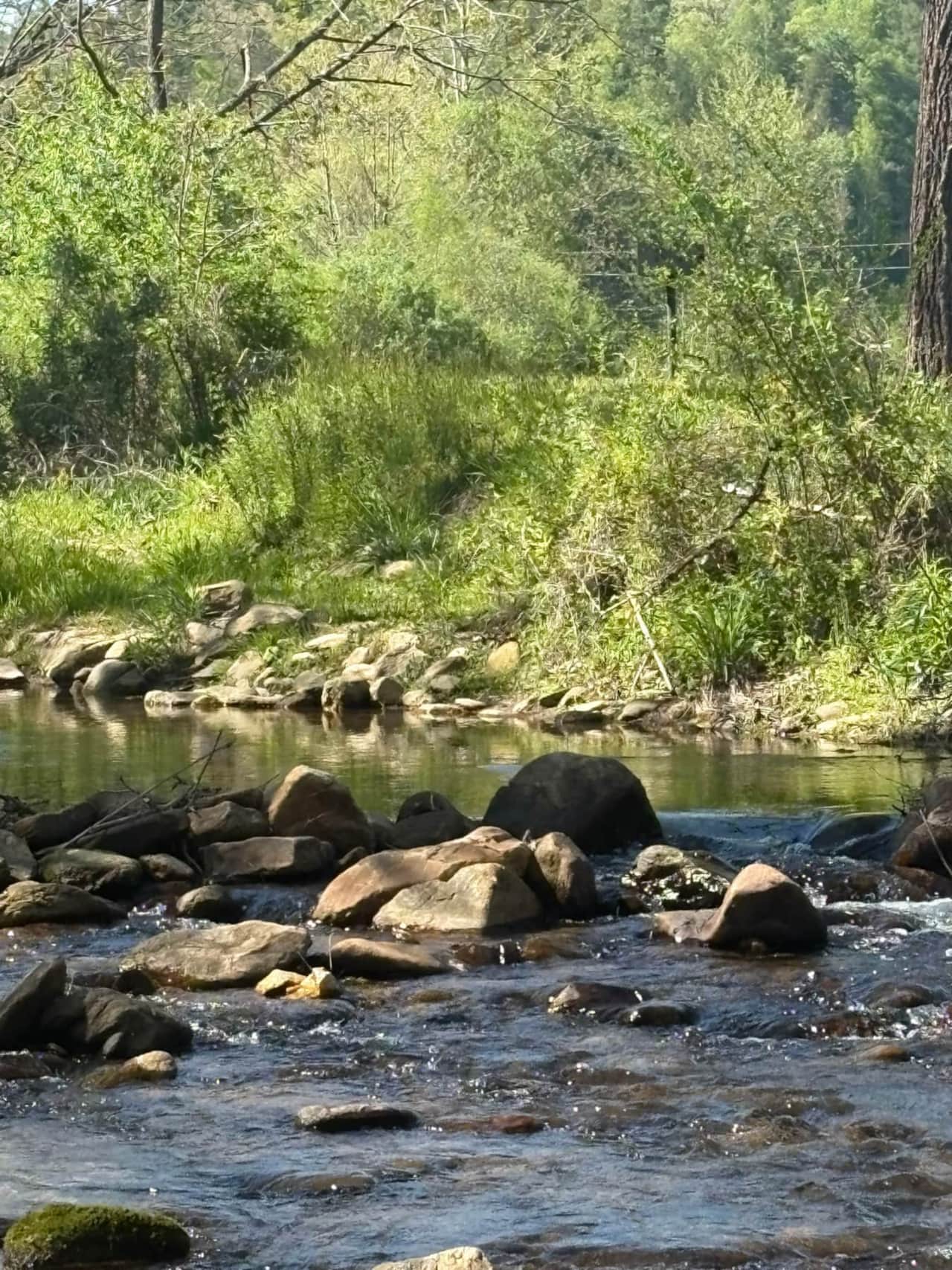 Creek