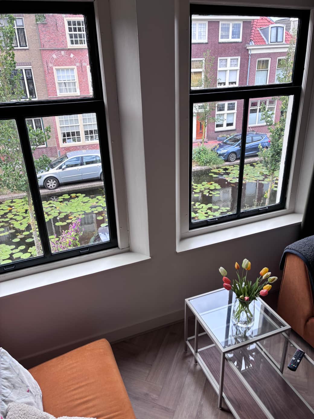 Livingroom view