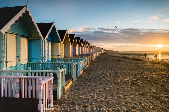 Mersea Island beach huts