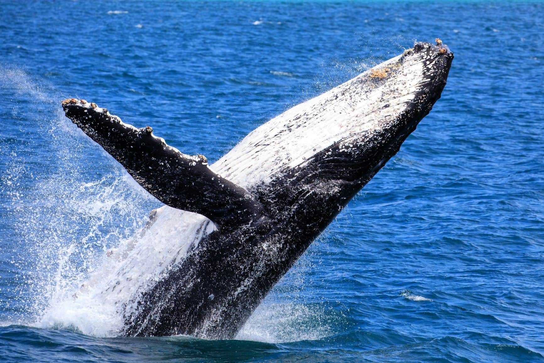 A Winter Holiday Jervis Bay