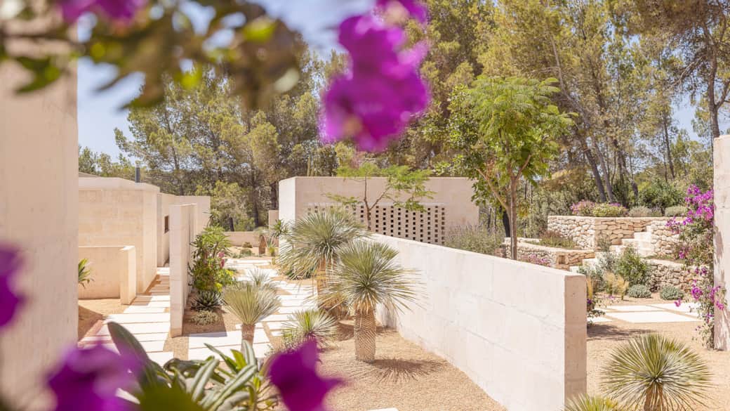 Ibiza aureeeea 2630650966f5518feff0d8.73264488