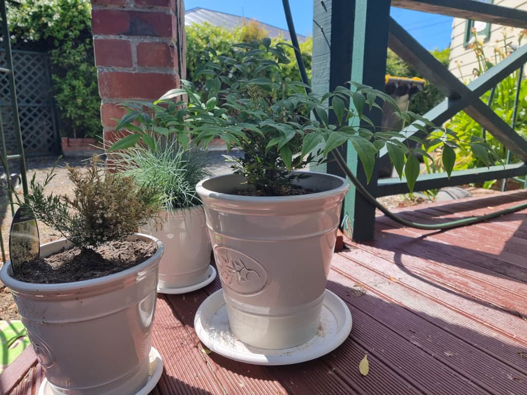 Back Deck feature