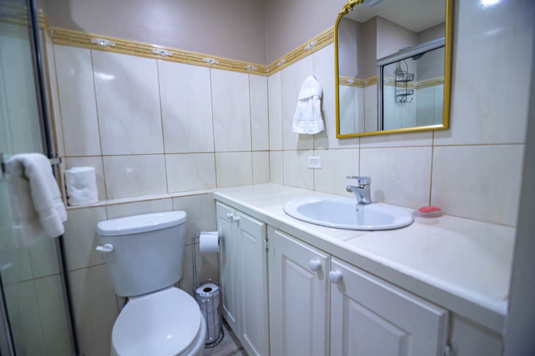 Toilet2