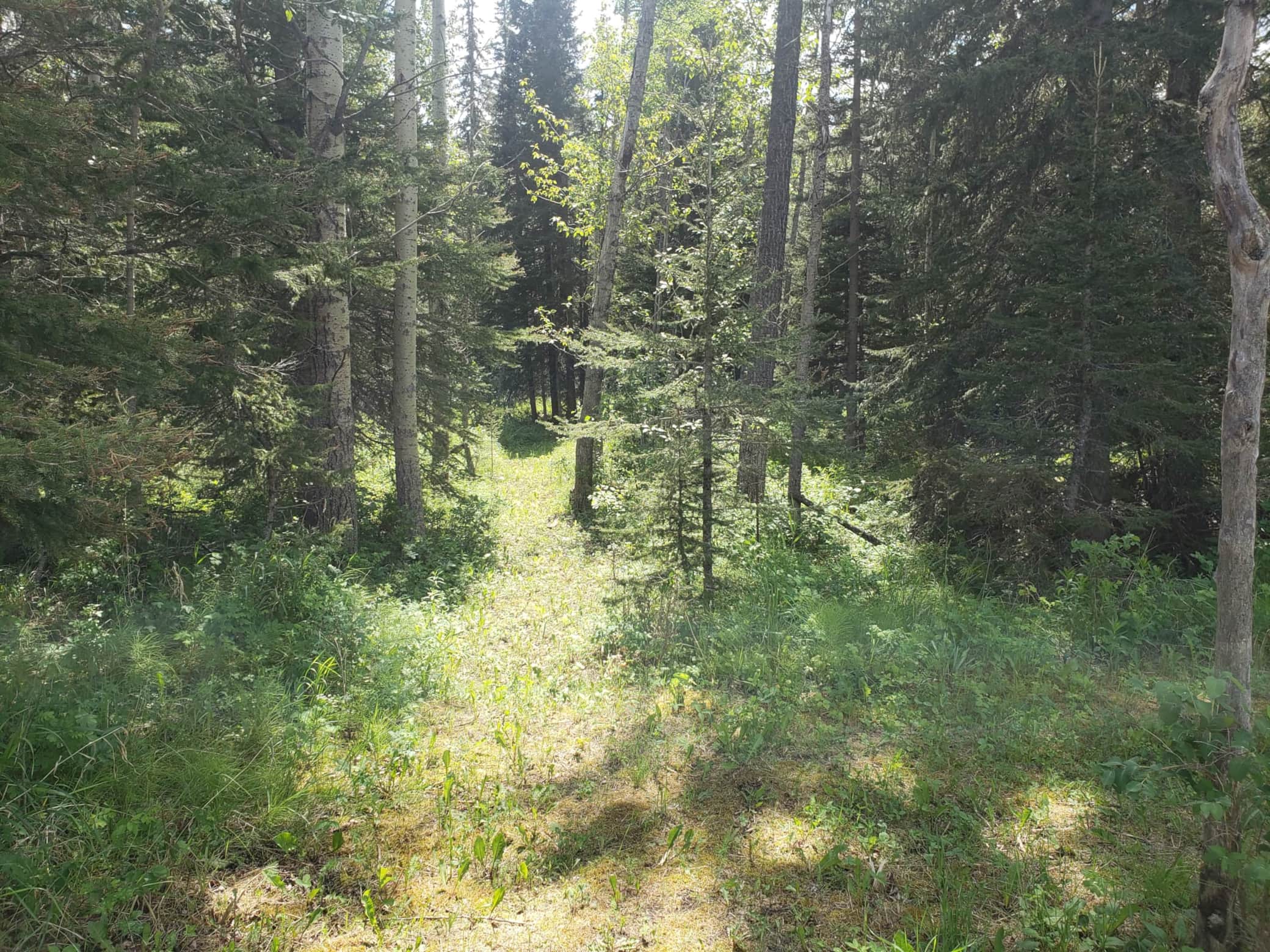 20250715_134136.jpg