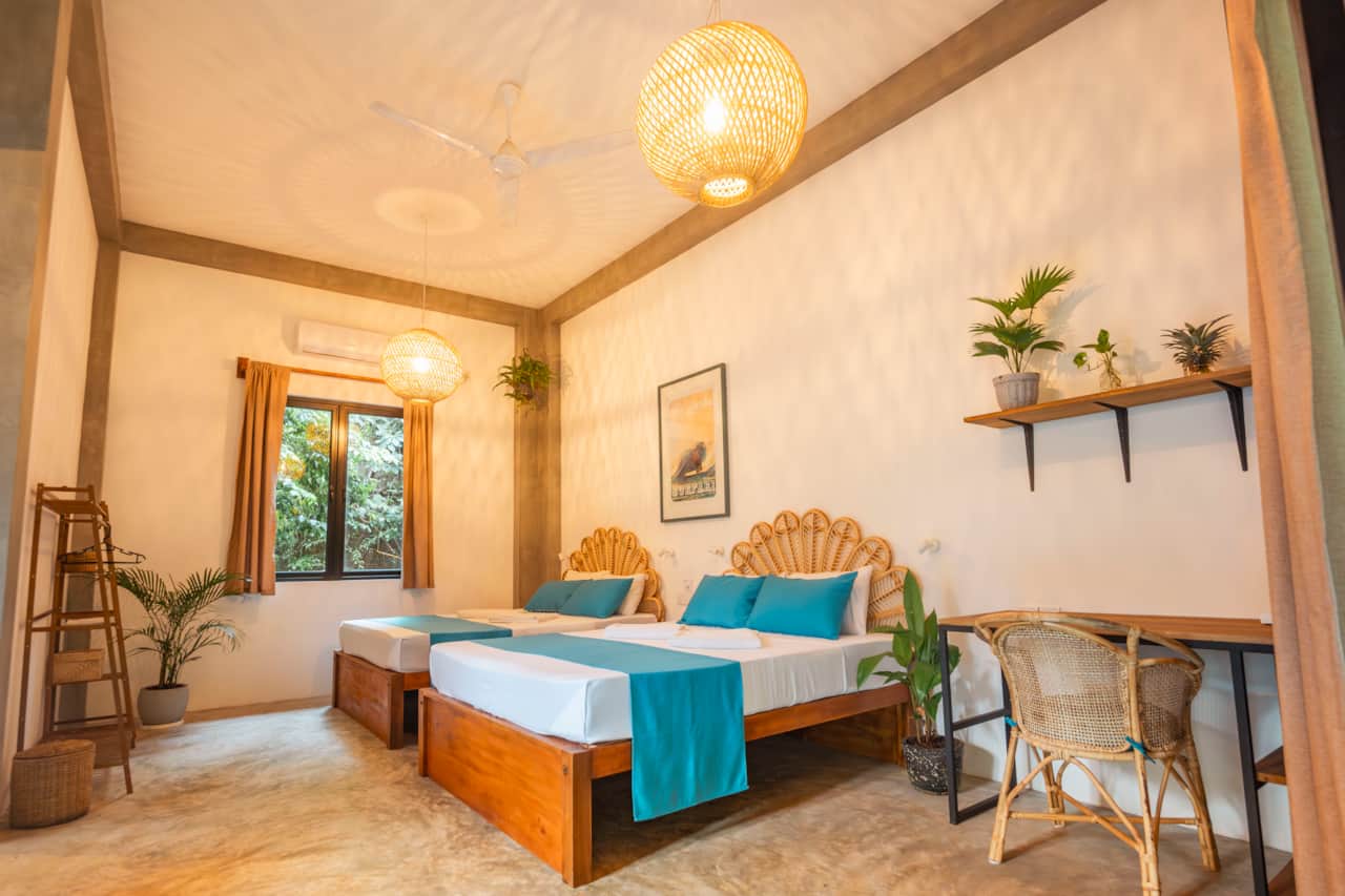 The Elephant Suite