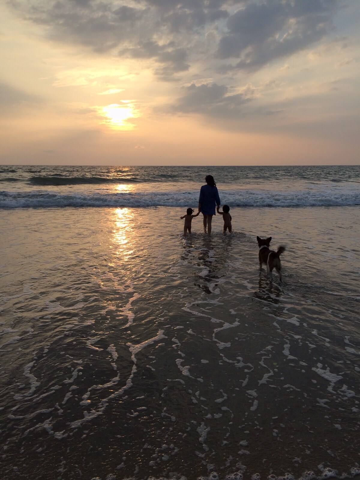 Beach Sunsets