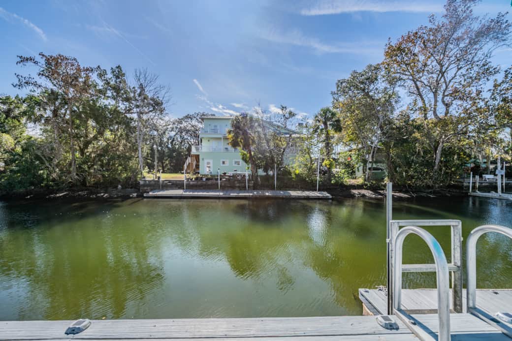 Weeki Wachee River views that never get old — peaceful, scenic, and pure Florida beauty. 🌊